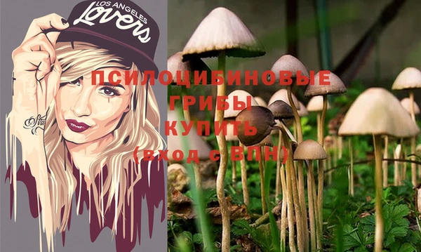 дмт Алексин