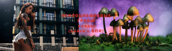 трава Арсеньев