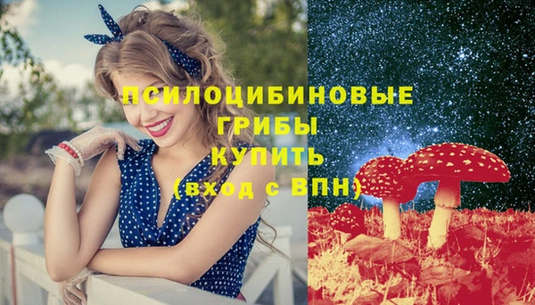 дмт Алексин