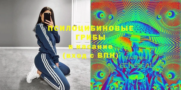 трава Арсеньев