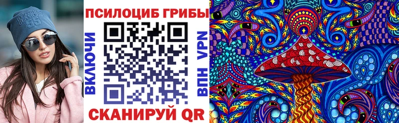 Купить где  Суджа  Псилоцибиновые грибы MAGIC MUSHROOMS 